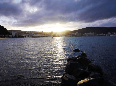 Screen Shot 2018-06-04 at 12.12.09 PM